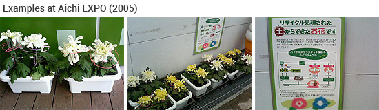 Forming planters image 1